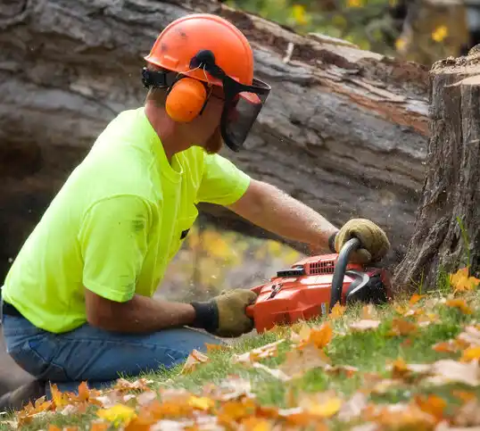 tree services Flower Hill